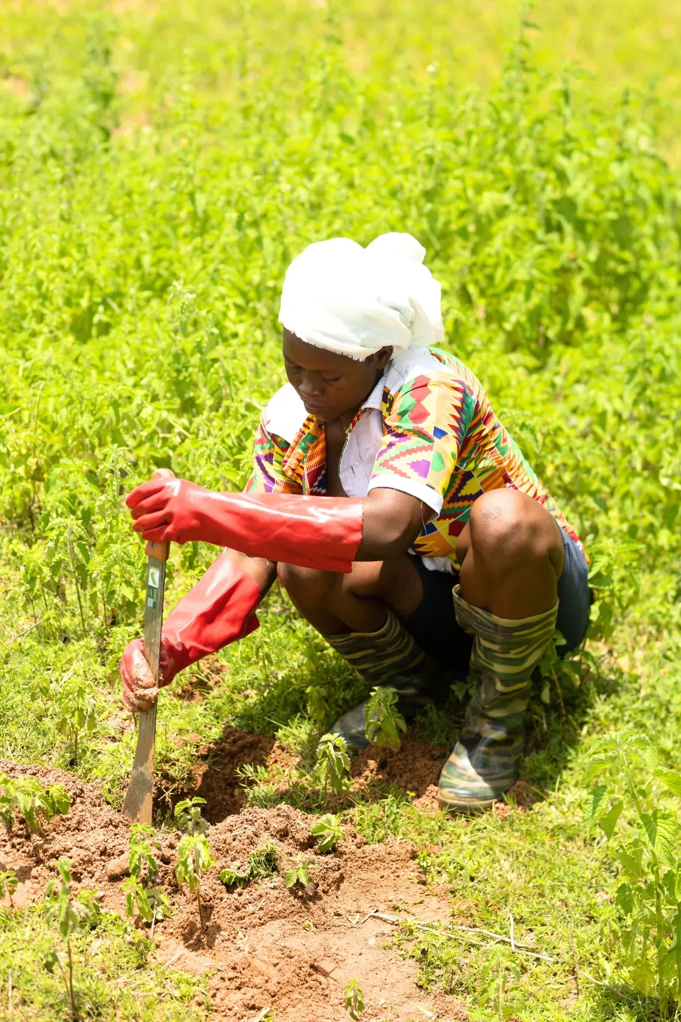 Woman wearing gloves kneels on grass and prepares soil for planting seedlings using a hand tool.